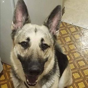 Meet your Posher, Alondra